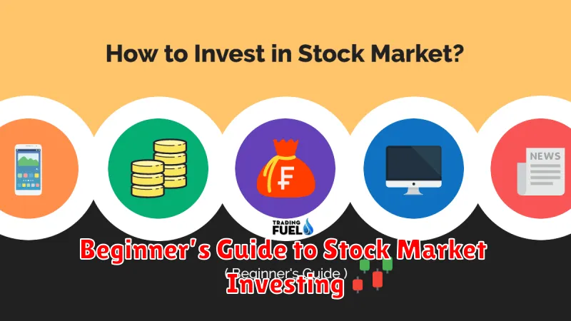 Beginner’s Guide to Stock Market Investing Beginner’s Guide to Stock Market Investing
